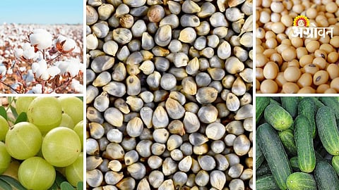 Agrowon Podcast