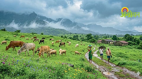 Grassland Ecosystem