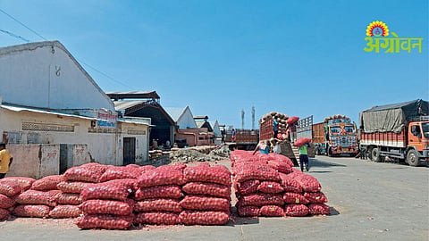 Onion Price Drop