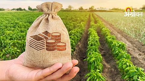 Crop Insurance Compensation
