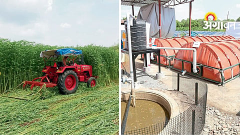 Chemical Fertilizer Alternatives