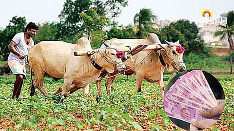 Maharashtra farmer financial aid for crop loss