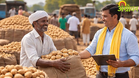 Potato Procurement