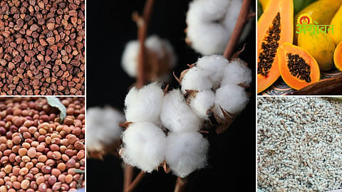 Agriculture commodity market trends 