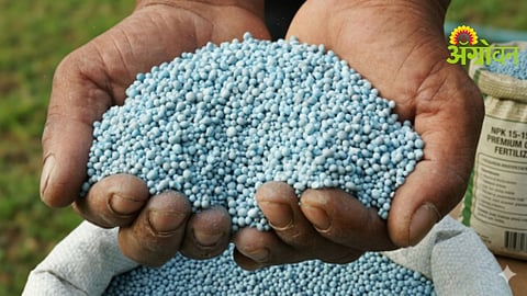 Government action against fertilizer irregularities
