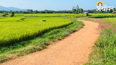 Farm Road