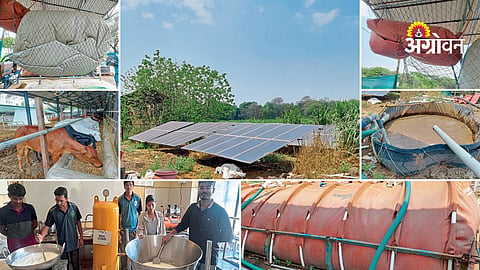 Integrated biogas and organic farming model
