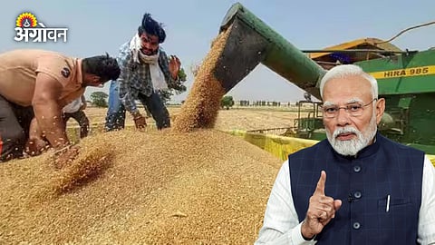 Wheat Export India