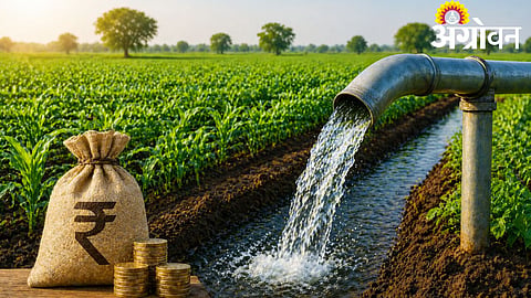 Agriculture Scheme
