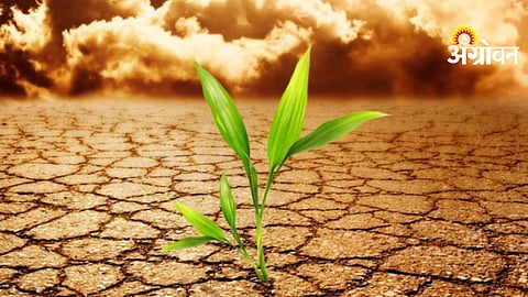 Agriculture Advisory