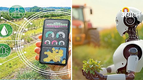 AI in Agriculture