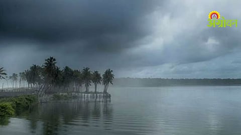 El Nino Impact