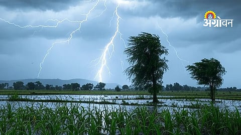 Marathwada Rain Alert