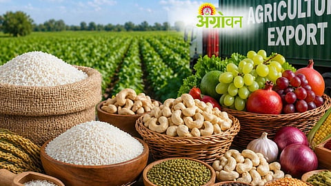 Agricultural Exports