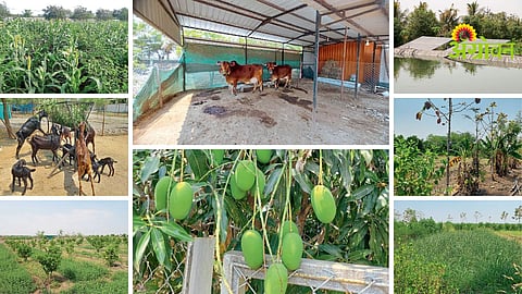 Integrated Farming