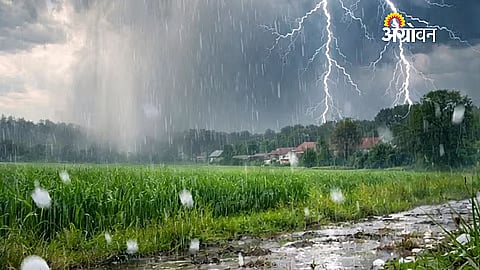 Massive Crop Loss Across Nashik, Aid Awaited