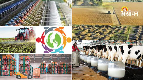 Cooperative farming model in Argentina