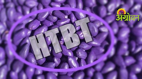 HTBT Seeds Illegal Sale