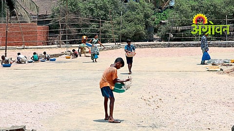Fish Drying Methods