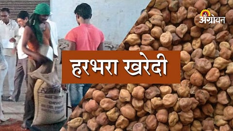 Government support price procurement problems
