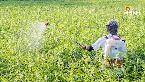 Water soluble fertilizer selection based on crop growth stage