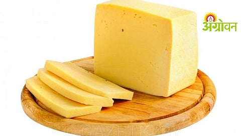 Cheese Analog