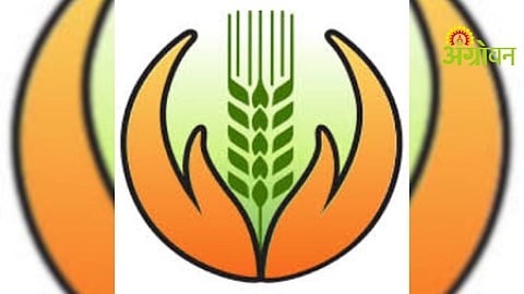 Yavatmal Crop Insurance
