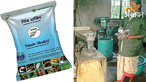 Neem Powder