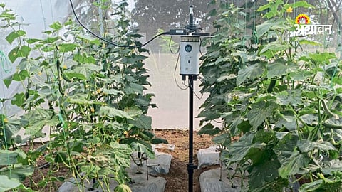 Early crop disease detection system