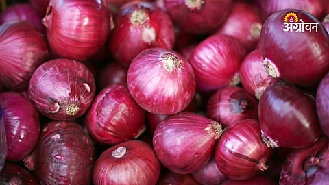 Controversy over onion storage policy in India