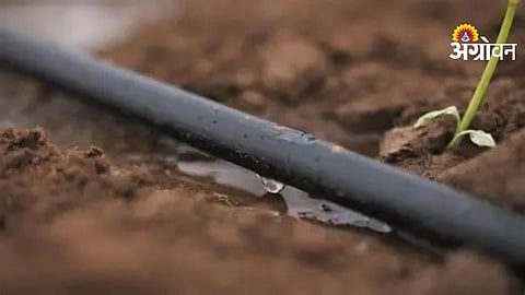 Water Conservation