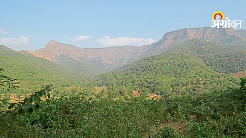 Biodiversity Conservation
