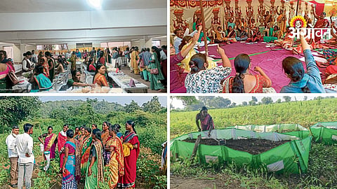 Women Farmers
