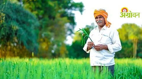 Farmer Mentorship