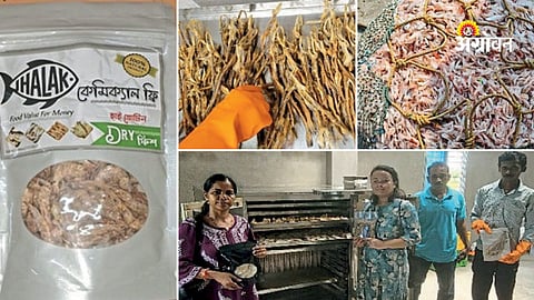 Small scale fish processing business