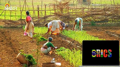BRICS Agriculture Meeting