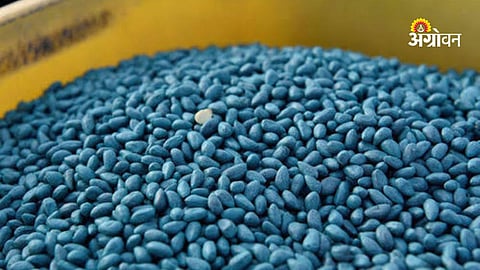 Cotton seed demand in Jalgaon Maharashtra