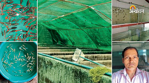 Ornamental fish farming success story Maharashtra
