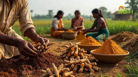 Turmeric Processing Cluster in Umarkhed Faces Delay