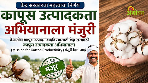 Cotton productivity mission India government scheme