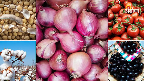 Agricultural Commodity Prices India