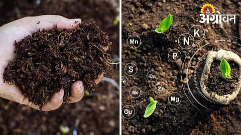 Organic Fertilizers Improve Soil Water Retention