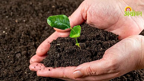 Organic Farming