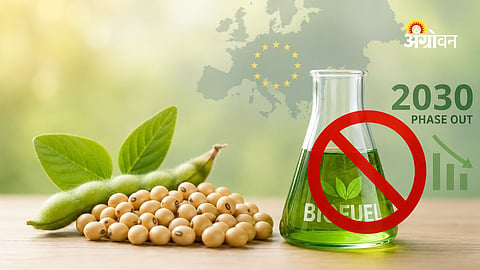 Europe soybean biofuel ban 2030