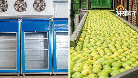 Post Harvest Management