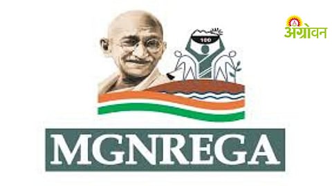 MGNREGA Scheme
