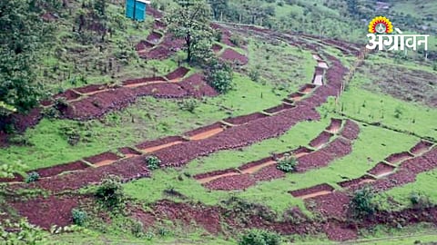 Watershed Soil Management