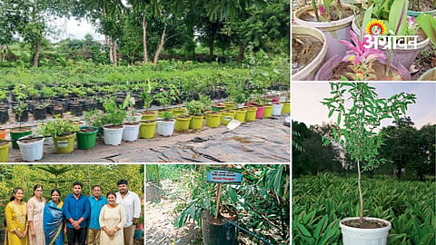 Medicinal farming model in Maharashtra