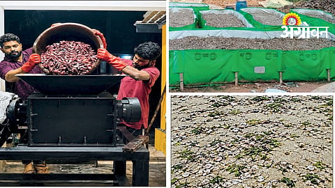 Fish Waste Management