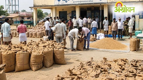Telangana Farmers Death